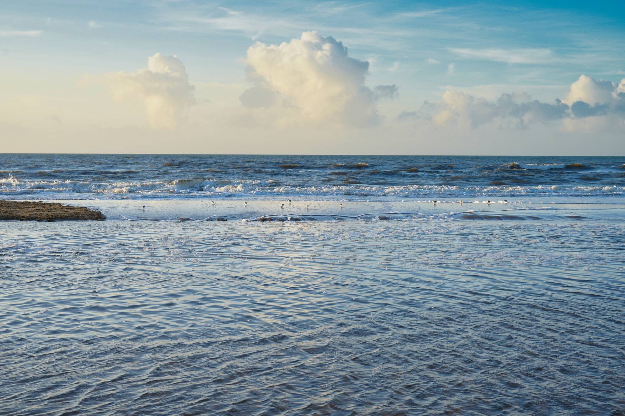The North Sea at low tide under a soft evening sky